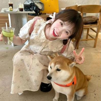 猫眼女枪手